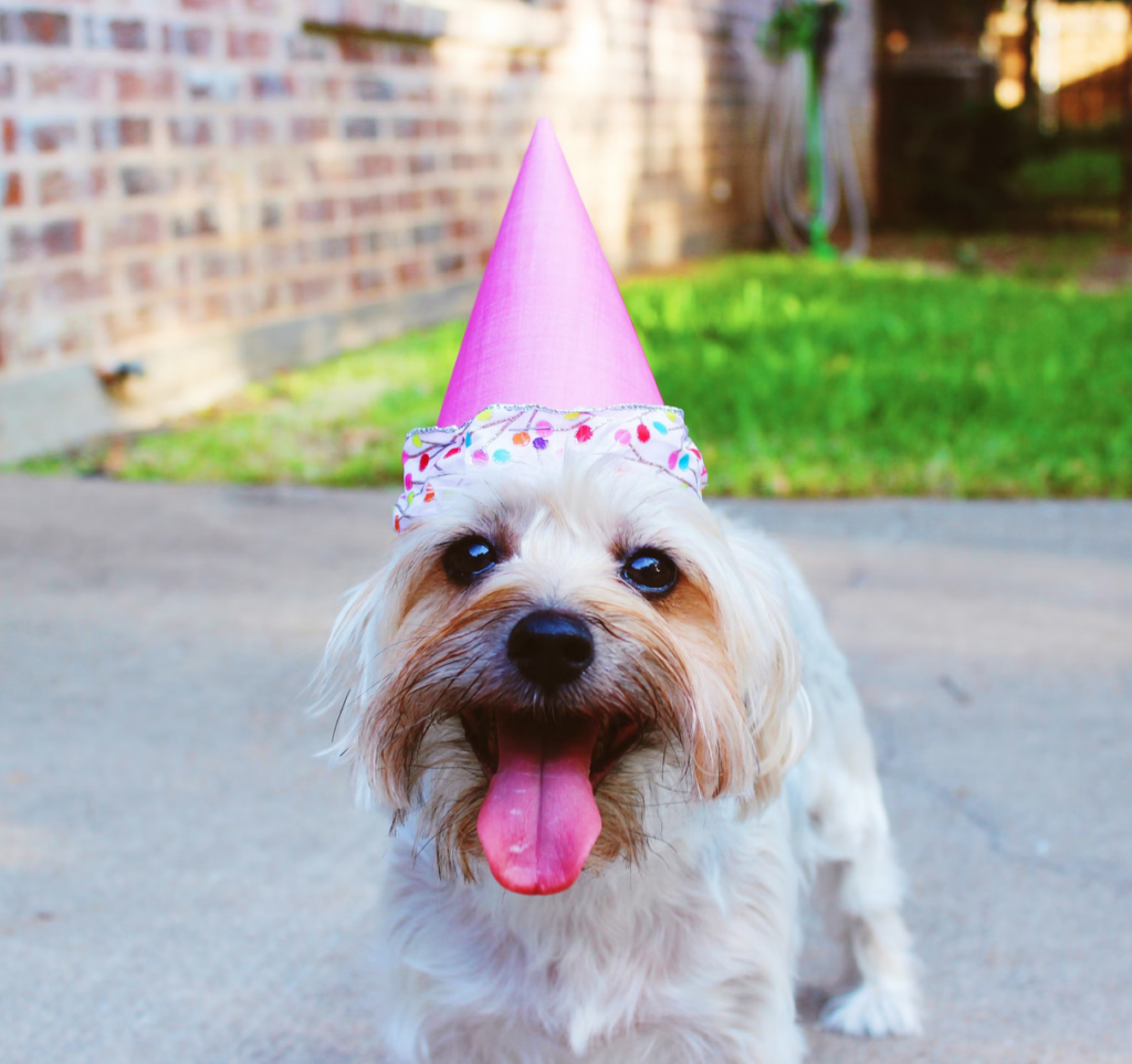 wil je je gelijk of wil je je geluk - zin doordrijven - manipuleren EmotieGids