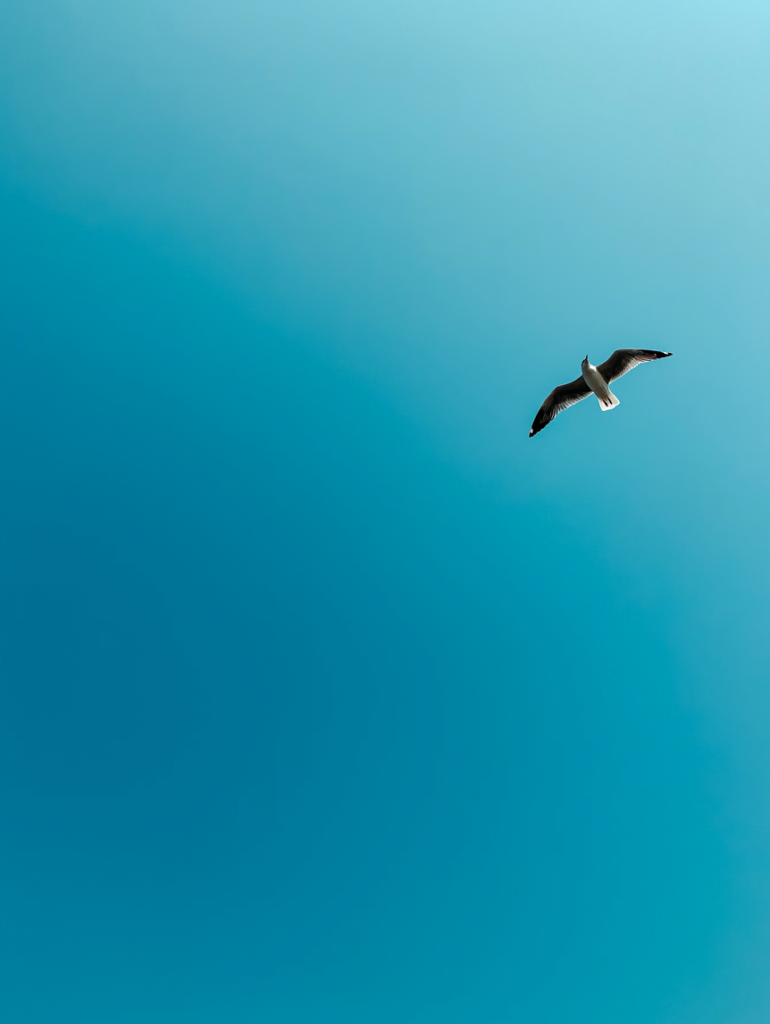 ken jij je waarde - vogel in de lucht - emotiegids
