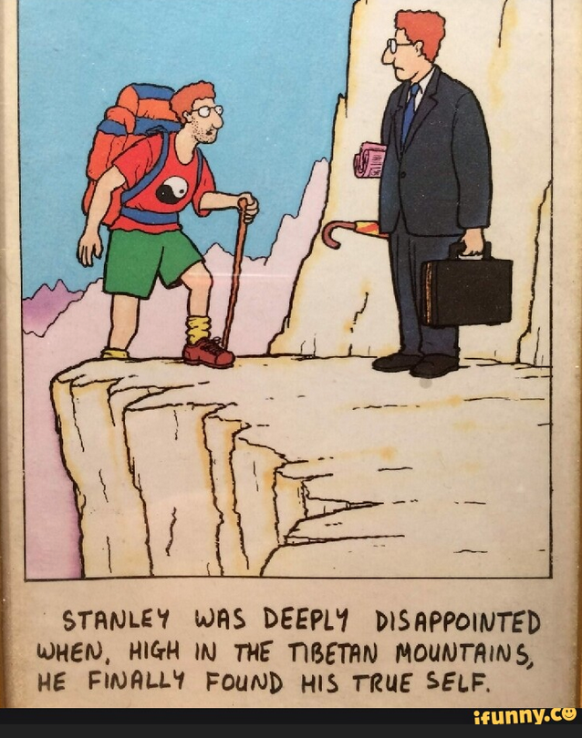 het Zelf versus het ego en emoties - EmotieGids