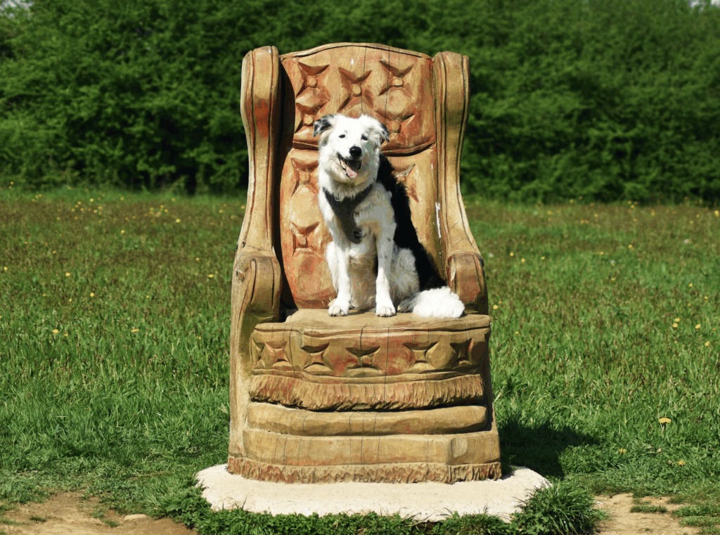 Hot seat - Gebruik je emoties als gids- EmotieGids